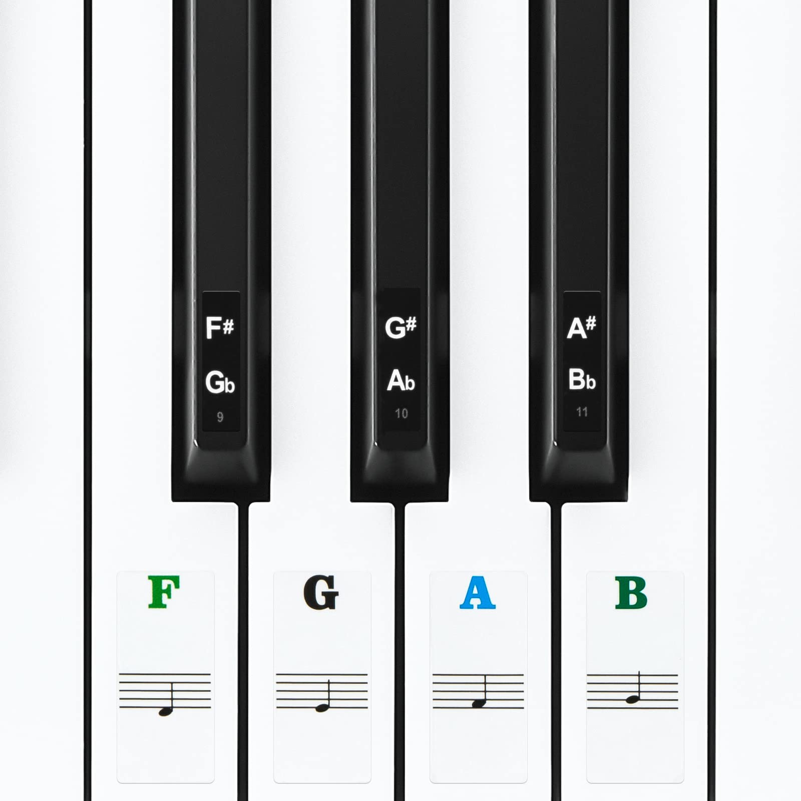 Linkidea Piano Keyboard Note Stickers (Color Coded with Transparent Background) for 88/61/54 Key Acoustic & Digital Piano and Keyboards