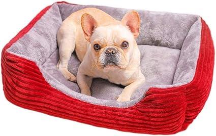 Dream cushion dog bed Clearance