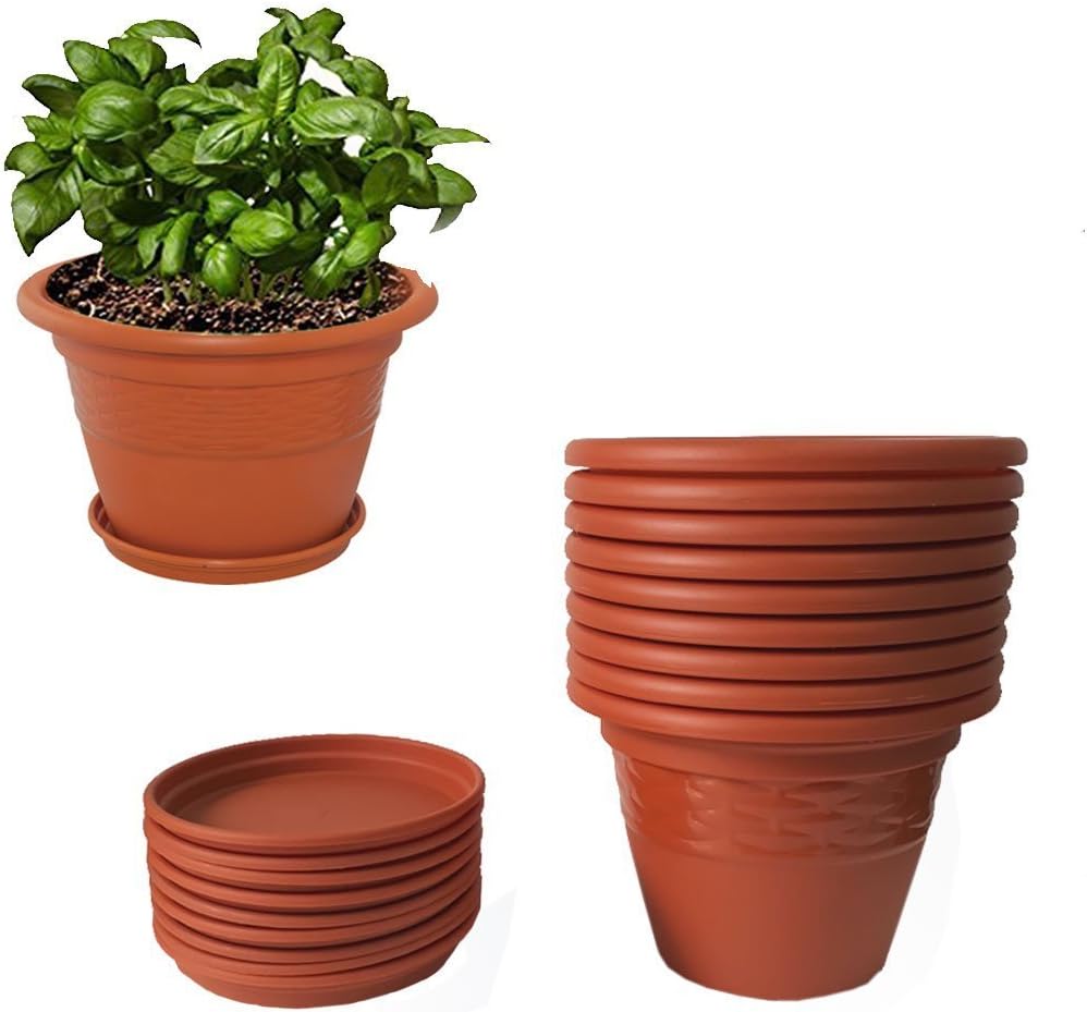 Plant Pots Online Best Planter For Balcony December 2023 TrueBuddy