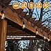 JACKYLED Outdoor String Lights LED UL 48 Ft Heavy Duty Cord 18 Sockets 19 x 2 Watt LED Bulbs (1 Spare) Vintage Weatherproof Edison String Lights for Patio Backyard