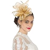SAFERIN Women's Fascinators Feathers Tea Party Hat Veil Headband with Hair Clip for Cocktail Church