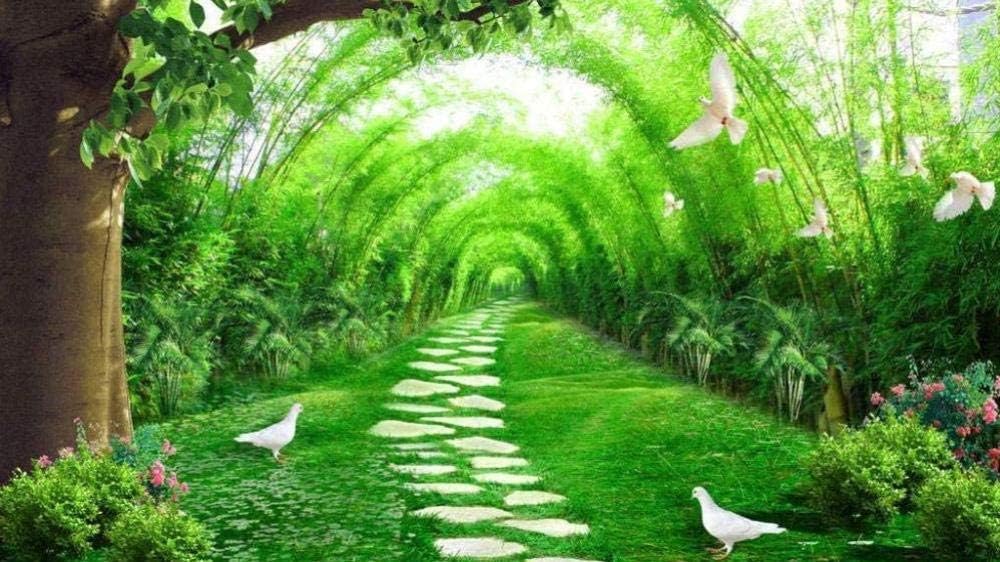 HAOLL Diy Paint By Numbers Kits Oil Painting Colour Talk Home Wall Decor For Adults Beginner Kids - Bamboo Forest Path Scenery 40X50 Cm Frameless
