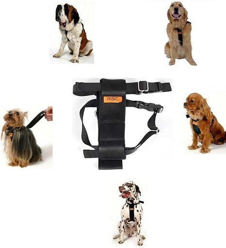 RAC Standard dog car harness, 30-41 cm 