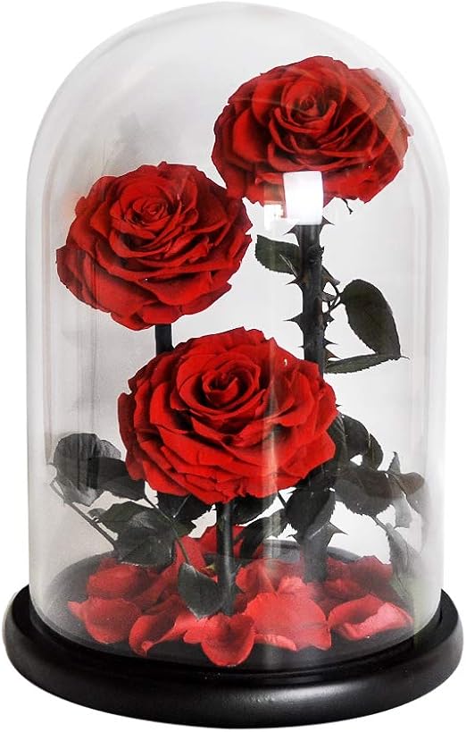 rose flower for girlfriend