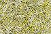 Food to Live Broccoli Sprout Powder (Bulk) (8 Ounces)