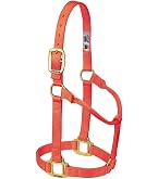 thumbnail interactive-video image 1 of Showman Average Horse Size Orange Triple Ply Nylon Halter - Brass Hardware 1 of 4