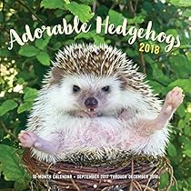 Adorable Hedgehogs 2018: 16-Month Calendar September 2017 through December 2018 Adorable Hedgehogs 2018: 16-Month Calendar September 2017 through December 2018