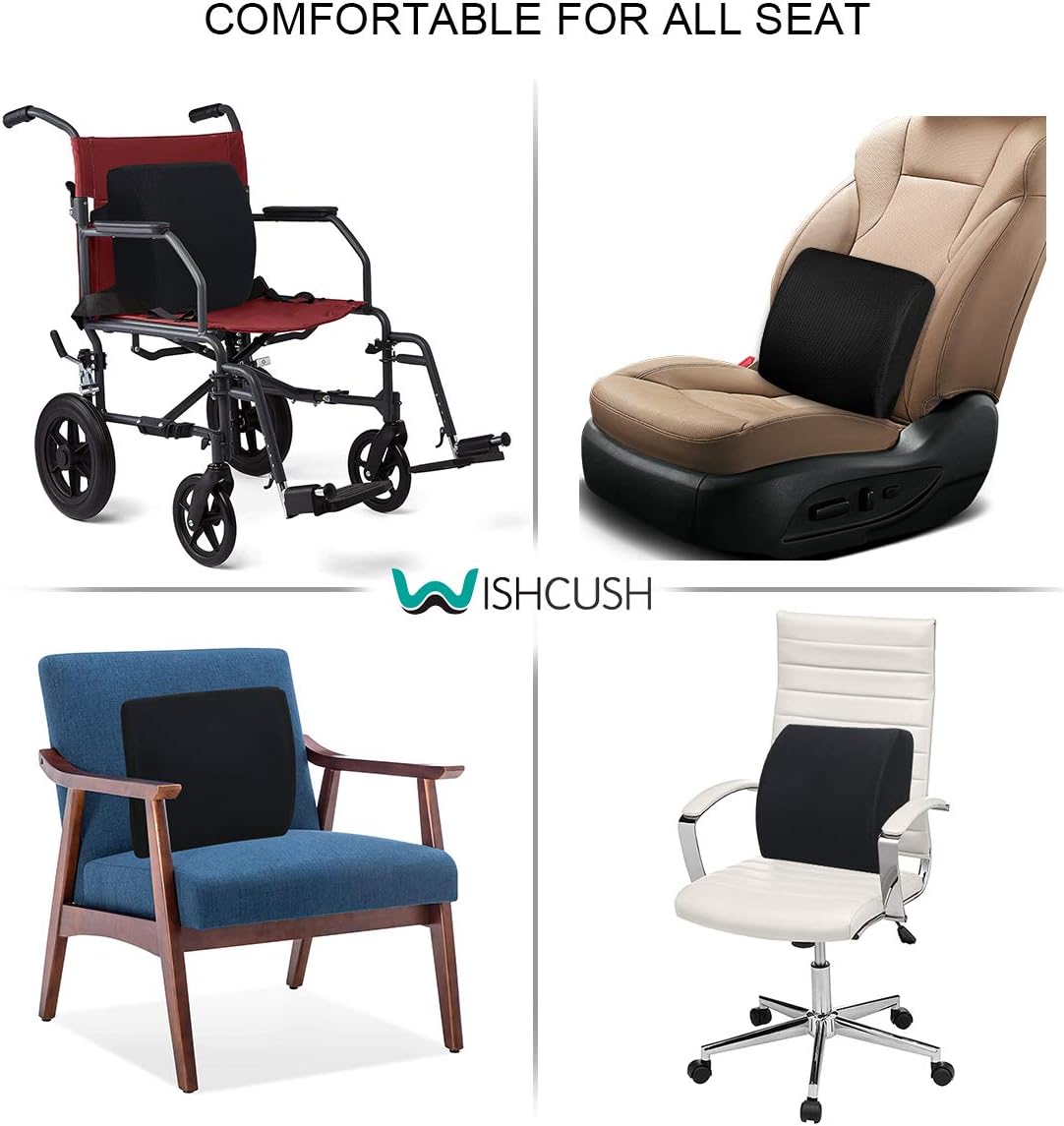 Wishcush Lumbar Support Pillow for Chair, Memory Foam Back Cushion for Car with Breathable 3D Mesh Cover and Ergonomic Shape Specially Designed for Lower Back Pain and Pressure Relief : Office Products