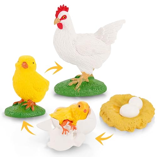 Life Cycle Set Life Cycle of Chicken Toys Realistic Farm Animals ...