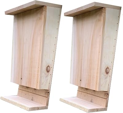 Selections Wooden Bat Box House with Landing Perch & Grooved Interior - 2 Pack