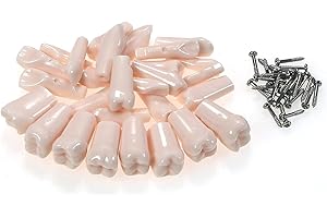 SEUJJRO 32pcs Removable Typodont Teeth for Typodont Teeth Model Compatible With Kilgore Nissin Dental Practice and Teaching (28pcs teeth)