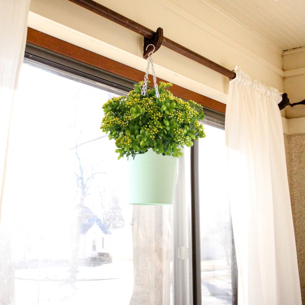 plantas nahuaa 4pcs arbustos