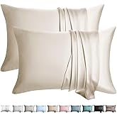 WLOSJ 100% Silk Pillow Cases 2 Pack Queen Size Mulberry Silk Pillowcase for Hair and Skin Set of 2 Highest Grade 6A Silk Soft Breathable Cooling with Hidden Zipper, Beige