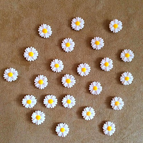 24Pcs Decorative Pushpins,Cork Board Tacks,Bulletin Board Tacks,Thumb Tack Decorative for CorkBoard, Office Organization or Home (White)