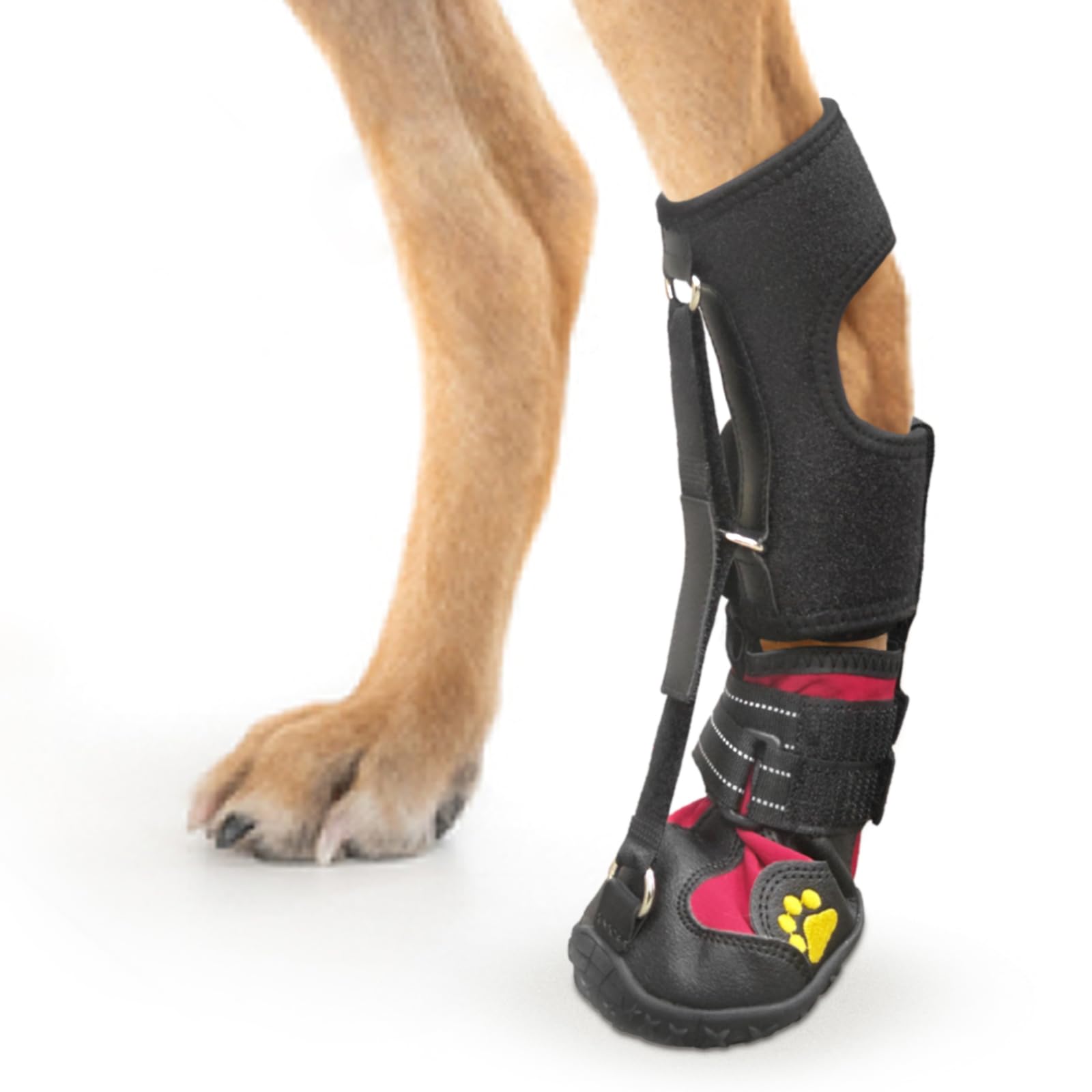 Photo 1 of Strap-On Drop Foot Brace (No Knuckling Boot Brace) for Dogs— Corrective Dog Shoes to Safely Lift Toes for Foot Issues, Arthritis, and improving Walking gait in Dogs,Patent Pending(L)