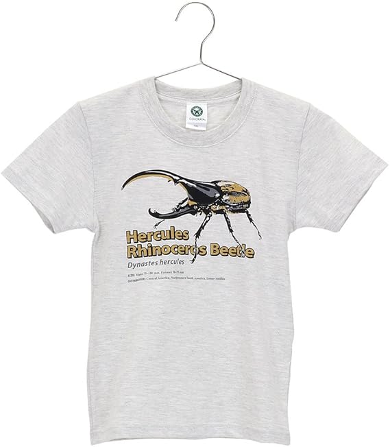 Amazon カロラータ Colorata Tシャツ ヘラクレスオオカブト 子供 130サイズ ライトグレー ミュージアムデザイン Tシャツ カットソー 通販