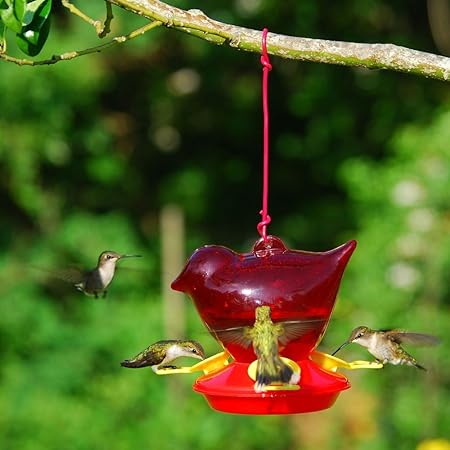 Amazon Com Songbird Essentials Bee Repellant Red Bird