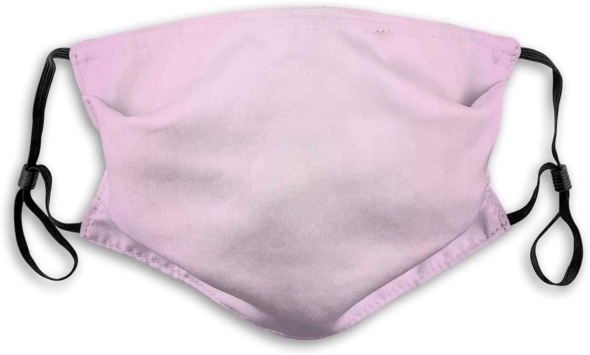 NYF Pink and Purple Ombre Print Modern Pastel Color Gradient 3D Adjustable Mouth Mask,Reusable with Replaceable Activated Carbon Dust Anti-Dust Mask Earloop Face Mask for Mens M
