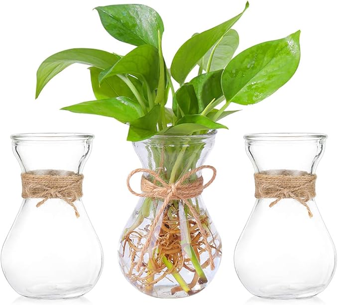Glass Vases for Flowers with Twine Rope 3 Pcs/Set Floral Arrangements