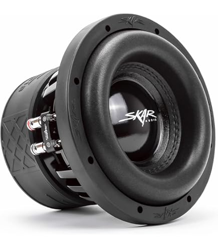 Amazon.com: Skar Audio ZVX-8 D2 8