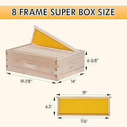 POLLIBEE 8 Frame Beehive kit, Complete Bee Hive for