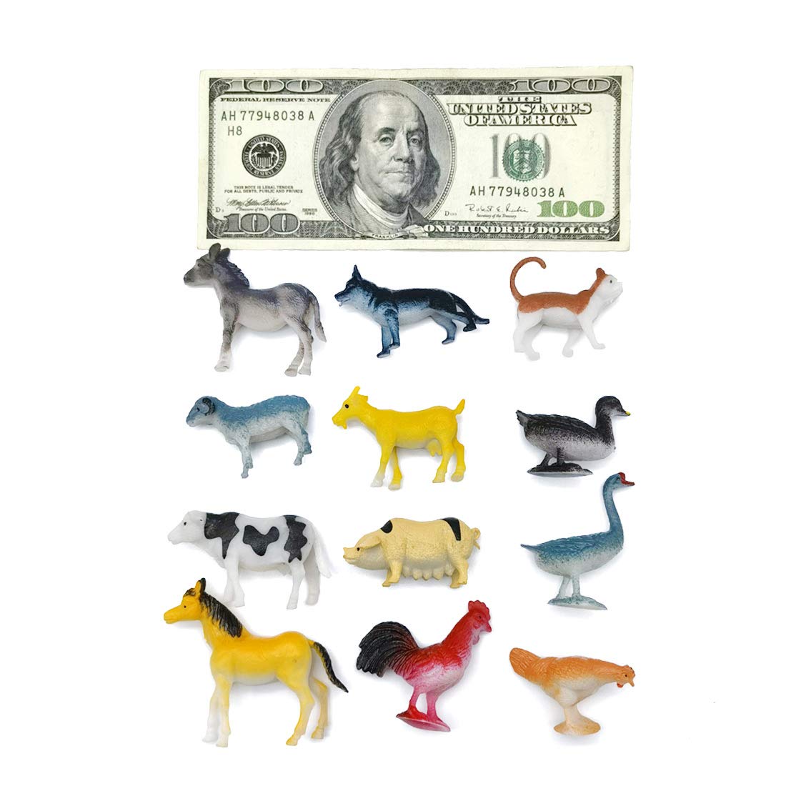 MEROCO Montessori Animal Match Cards - Miniature Poultry Animals with Matching Card - 2 Part Cards. Montessori Learning Toy, Language Materials TZX106