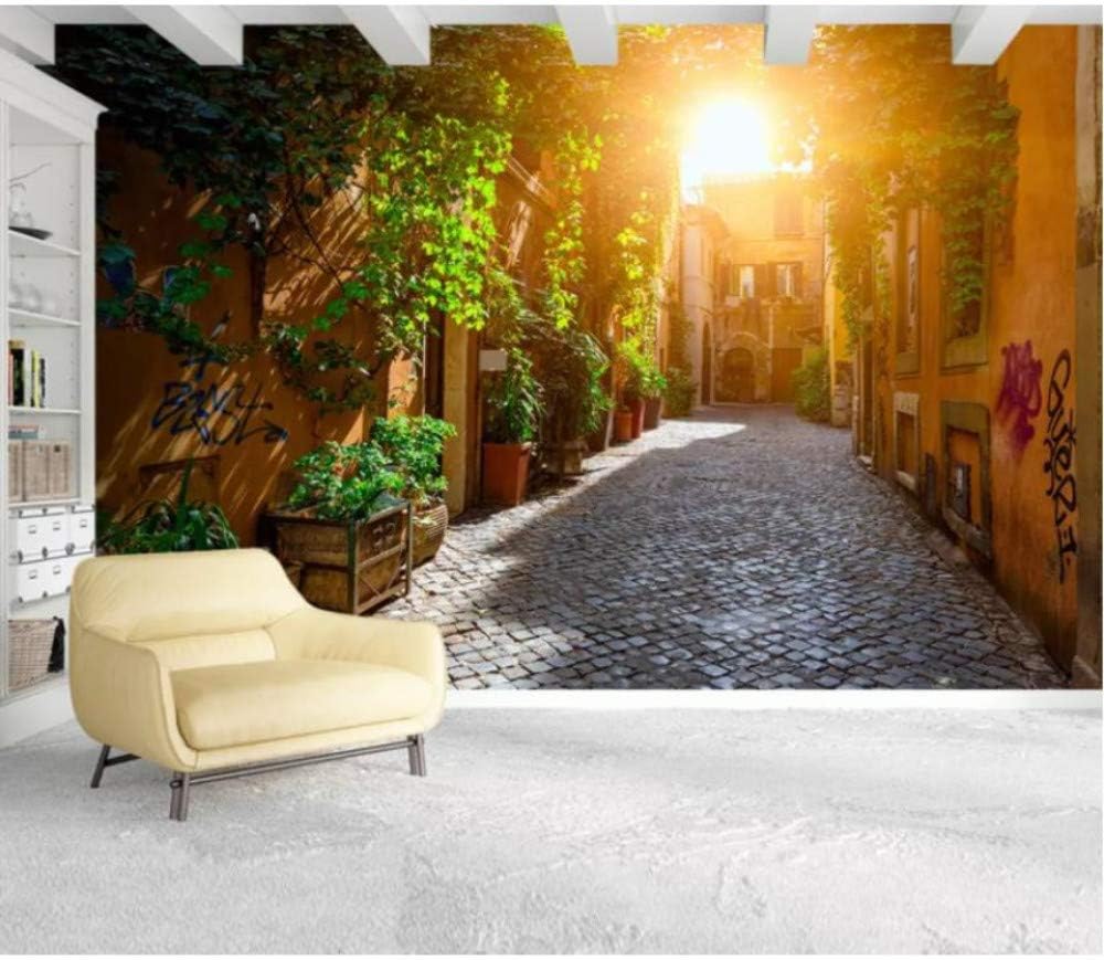 Lcymt 3dの壁紙街の街並みの風景の壁紙リビングルームの寝室の壁紙3dの背景の壁紙の家の装飾 250x175cm 壁紙 Amazon