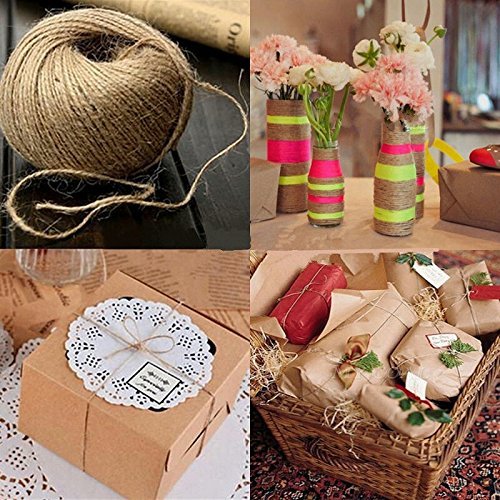 328ft (100 meter) Hemp String Rope Twine Rolls- Jewelry Making Crafts (2mm, Natural)