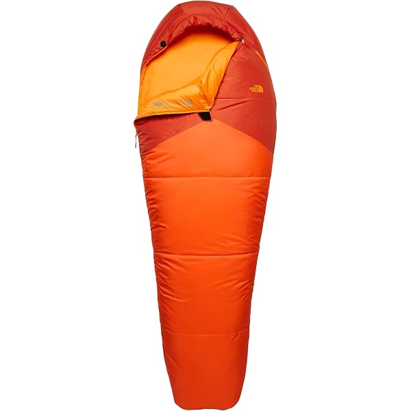 Amazon.com : THE NORTH FACE Wasatch Pro 40, Zion Orange/Persian 