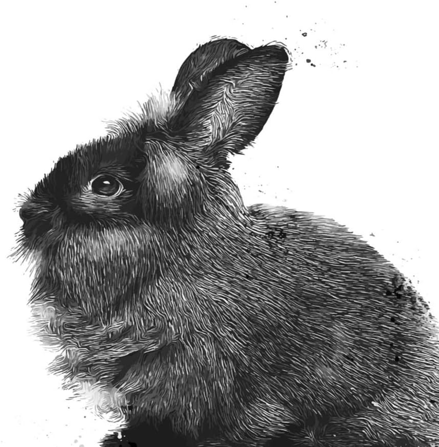 adult lionhead
