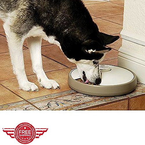 Programmable Automatic Pet Feeder Timed Electronic Interactive