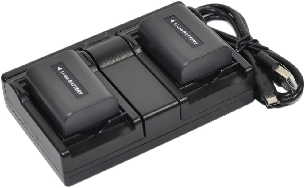 BTBAI 2x NP-FH50 Battery+Charger USB Dual For NPFH50 NP-FH30 NP-FH40 HDR-30 XR100 DCR- DVD103 DVD105 DVD105E DVD106 DVD106E DVD108 DVD109 DVD109E DVD110E DVD115E DVD150 DVD150E DVD202E DVD203 k1a