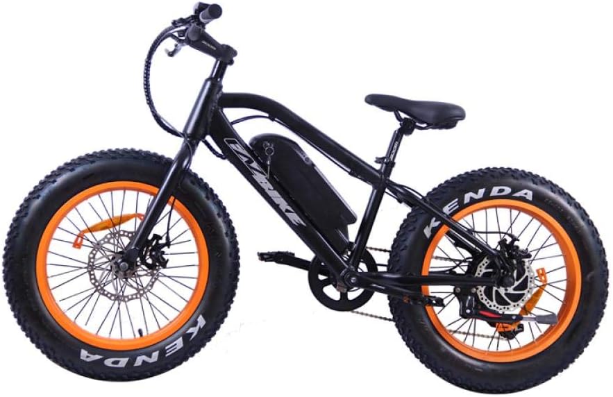 ebike