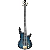 Ibanez Gio GSR205PC 5-string Bass Guitar - Transparent Marine Burst