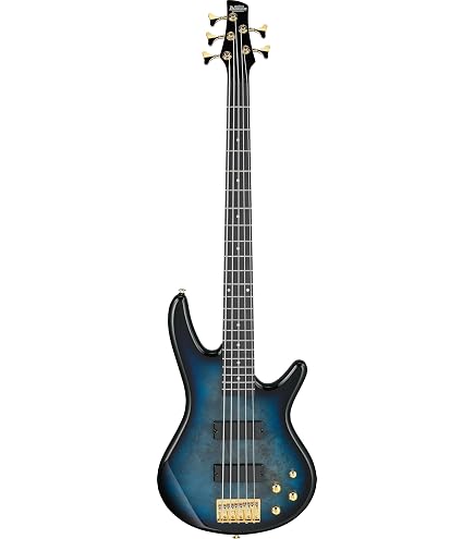 Ibanez Gio SR 5 String Electric Bass - Black : Amazon.ca: Musical