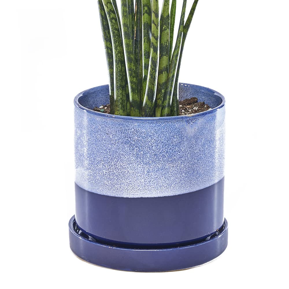 CHIVE Minute Ceramic Planter Pot Cute 5 Colorful Succulent Pots for Indoor & Outdoor House Plants Beautiful Modern Farmhouse Kitchen Decor Cobalt Blue