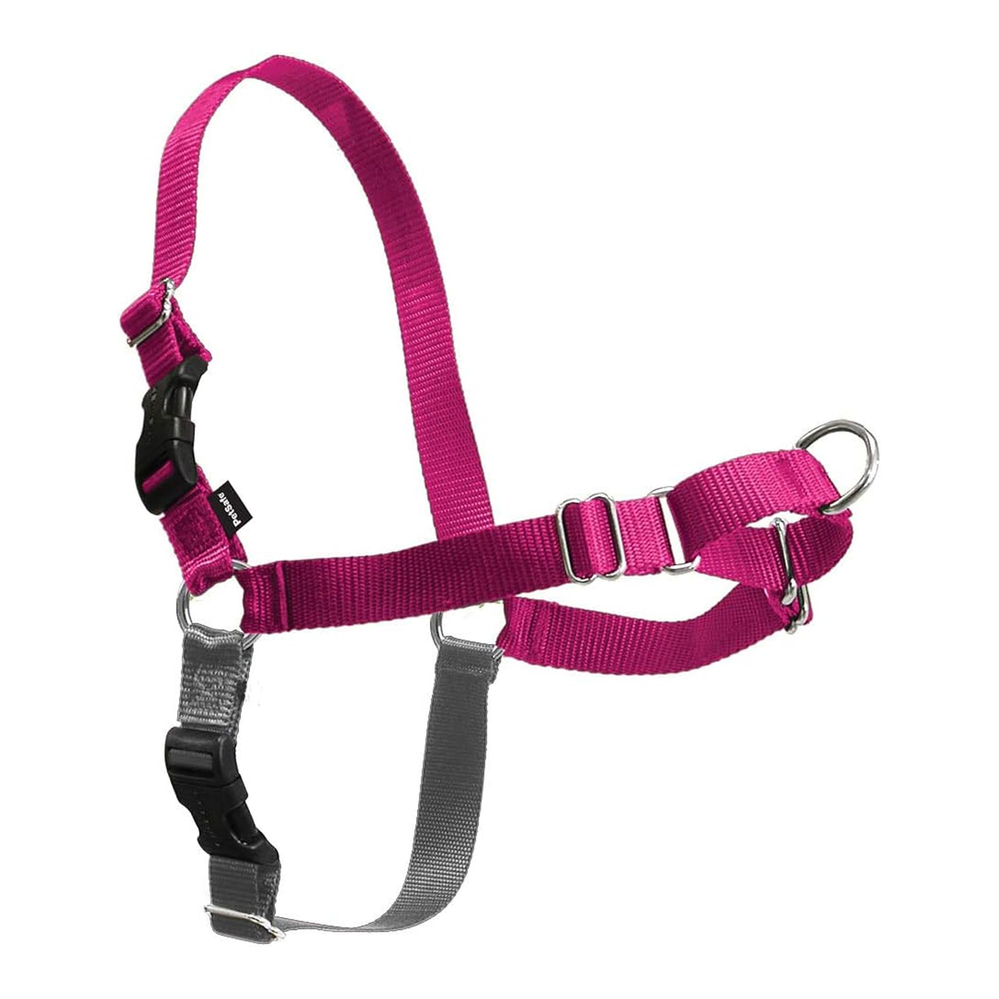 PetSafe Easy Walk dog harness.