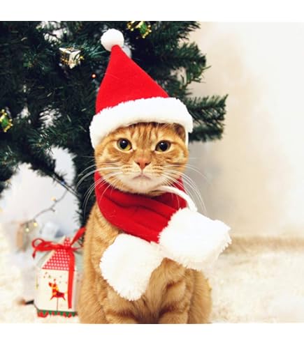 cat christmas dress amazon Amazon.com : Vellibring Cat Christmas Outfit Green Pet Cloak with Hat with  Star and Pompoms Puppy Cape Clothes Xmas Tree Elf Costumes Party Pet  Supplies Accessories for Small Dogs Cats Pet Santa