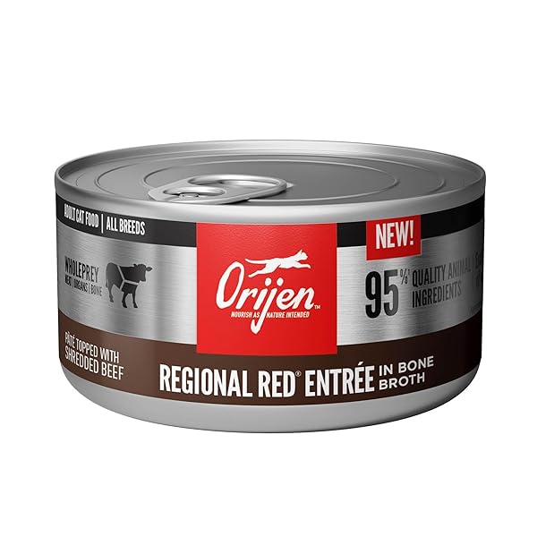 ORIJEN ADULT REGIONAL RED ENTREE IN BONE BROTH WET CAT FOOD, FRESH AND RAW ANIMAL INGREDIENTS, 3 OZ (CASE OF 24)