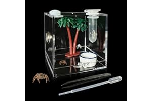 GKPONSX Jumping Spider Enclosure, Acrylic Snail Spider Terrarium Insect Breeding Box with Tongs Bowls Dropper for Snail Insects Gecko Scorpion Sling Mantis Frog Isopods Hermit Crabs (Coconut Tree)