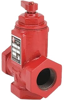 Bell & Gossett Flo-Control Valve,3/4 in,FNPT,Cast Iron (107034)