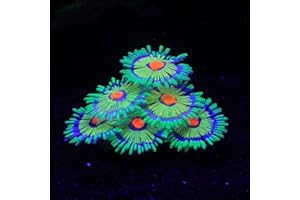 ZtohPyo Glowing Effect Fish Tank Aquarium Decorations, Artificial Silicone Plants Ornaments for Fish Tank Landscape Decor Glow in The Dark Soft Anemone for Small Fish Bowl Decor