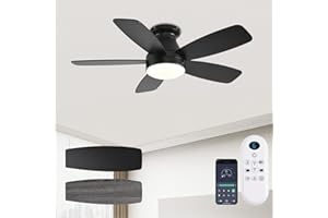 JSAITEE Ceiling Fans with Lights, 42 Inch Low Profile Ceiling Fan with Light and Remote/App Control, Flush Mount, Reversible, 3CCT, Dimmable, Noiseless, Black Ceiling Fan for Indoor/Outdoor Use