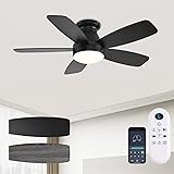 JSAITEE Ceiling Fans with Lights, 42 Inch Low