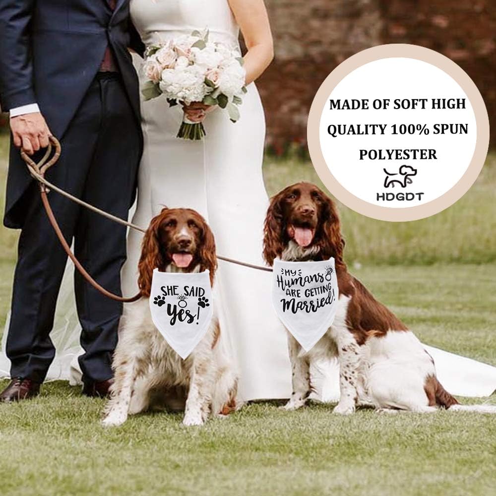 My Humans are Getting Married Dog Bandana, Wedding Dog Bandana, Dog Engagement Announcement, Wedding Photo Prop, Pet Scarf, Pet Accessories (2 Pack) : Pet Supplies