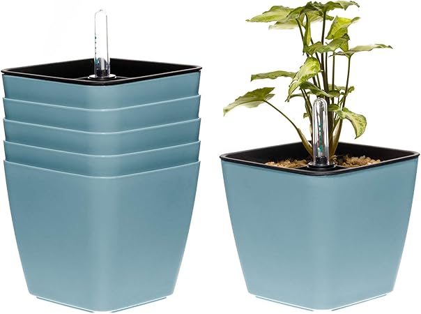 windowsill planta decorativa