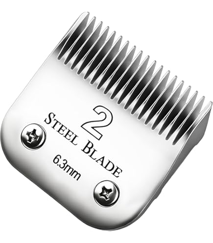 Amazon.com: Oster Professional Detachable Blade Size 2 : Beauty