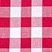 DII Checkered Tabletop Collection 100% Cotton, Machine Washable, Napkin Set, 20x20, Red, 6 Piece