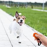 cfmour Retractable Dog Lead 5m 50kg Orange Heavy-Duty Extendable Leash view 2