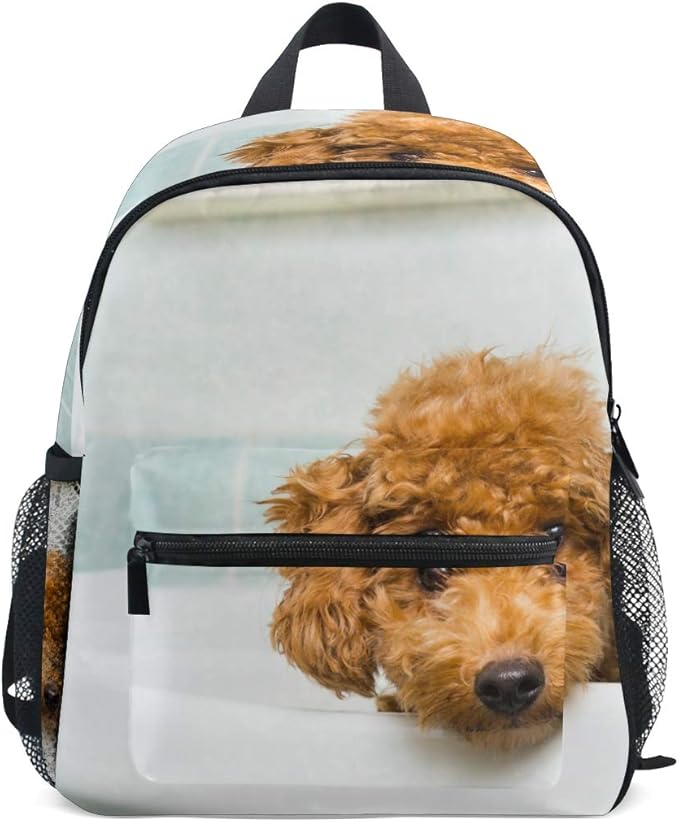 Upgraded Backpack for School Teenagers Brown Poodle Puppy